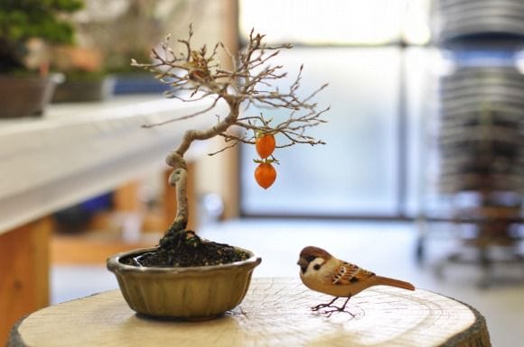 老爺柿 1点もの No.372