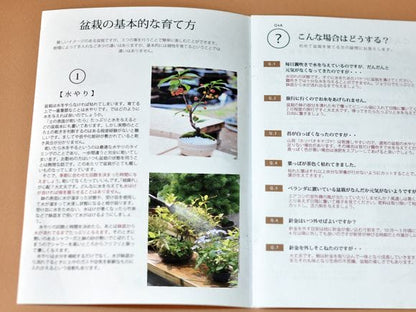 五葉松のミニ盆栽 育て方冊子と肥料付き 【ギフト】【敬老の日】