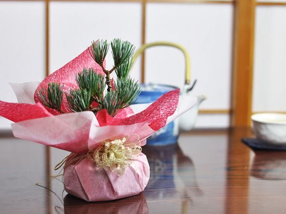 五葉松のミニ盆栽 育て方冊子と肥料付き 【ギフト】【敬老の日】