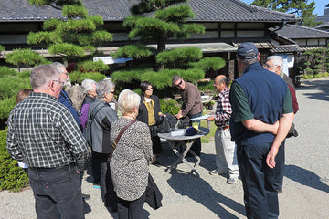 About Takamatsu Bonsai