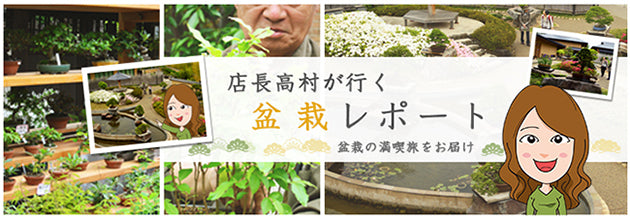 大宮盆栽美術館