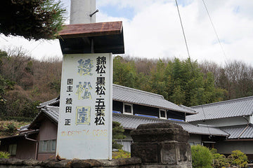 日本最大級の盆栽生産工場 綾松園