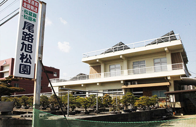 化学的に盆栽を考える 盆栽研究者 尾路旭松園
