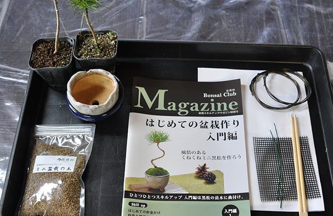 盆栽づくりキットで初めての盆栽づくり体験記