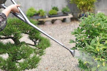 基本の育て方 水やり