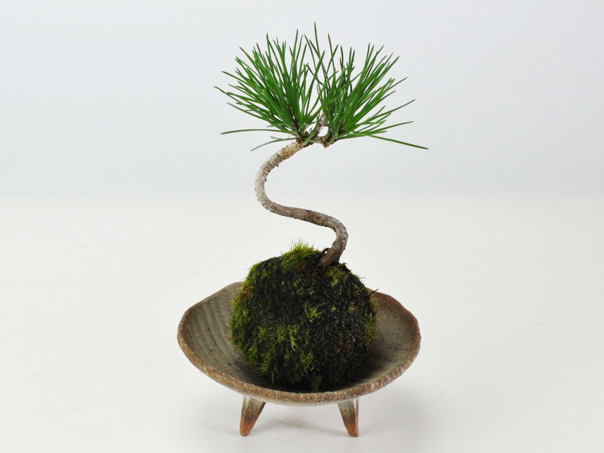 056d01.jpg?v=1752629392&width=1946