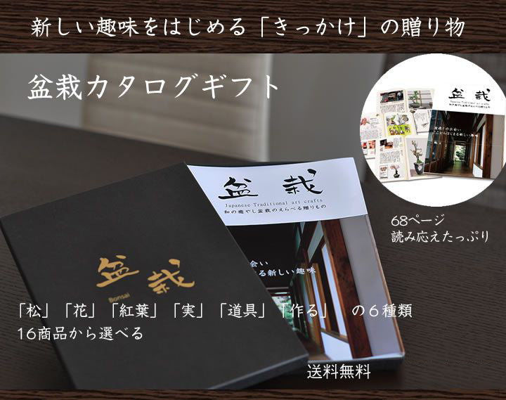盆栽カタログギフト｜贈り物は盆栽妙 – 盆栽妙 本店