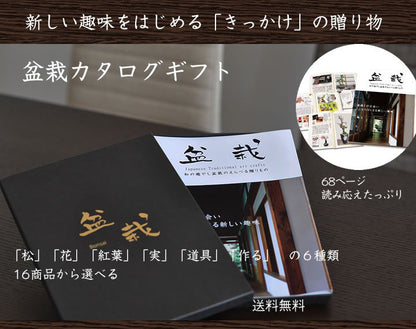 盆栽カタログギフト