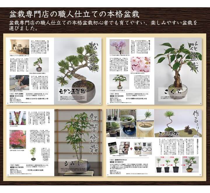 盆栽カタログギフト