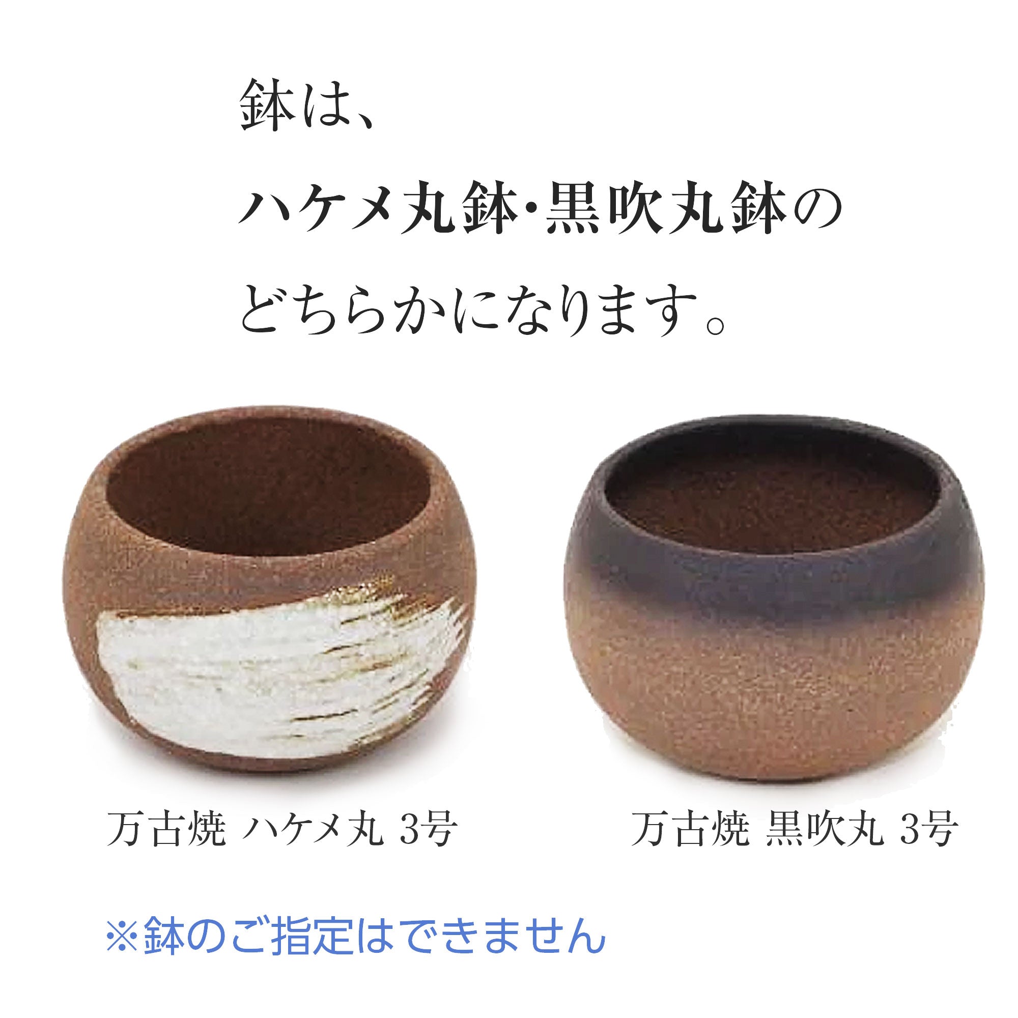 燿山　赤　丸　盆栽鉢 燿山 赤 丸 盆栽鉢 現代小鉢：燿山(英明)丸鉢 2.5号*資材 |