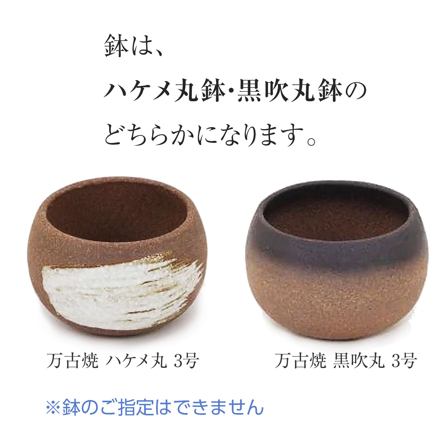 【敬老の日】山もみじ　ハケメ丸鉢