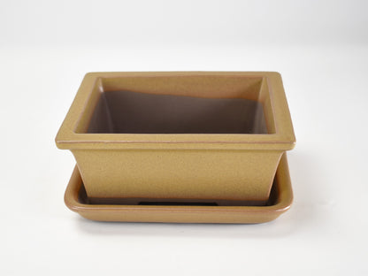 4号鉢(幅11～14cm)