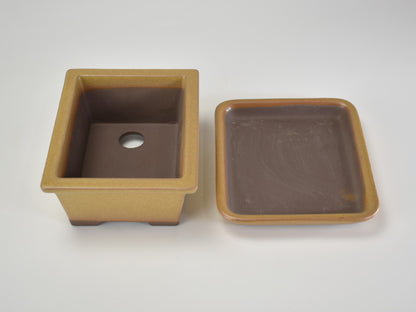 4号鉢(幅11～14cm)