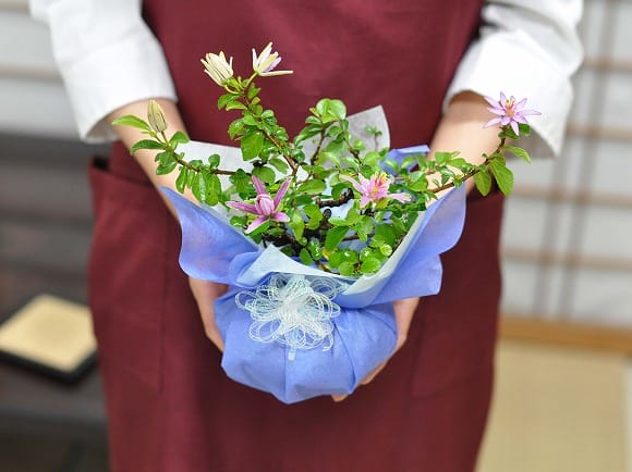 枝振りの良い睡蓮木 受け皿付き