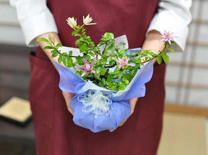 枝振りの良い睡蓮木 受け皿付き