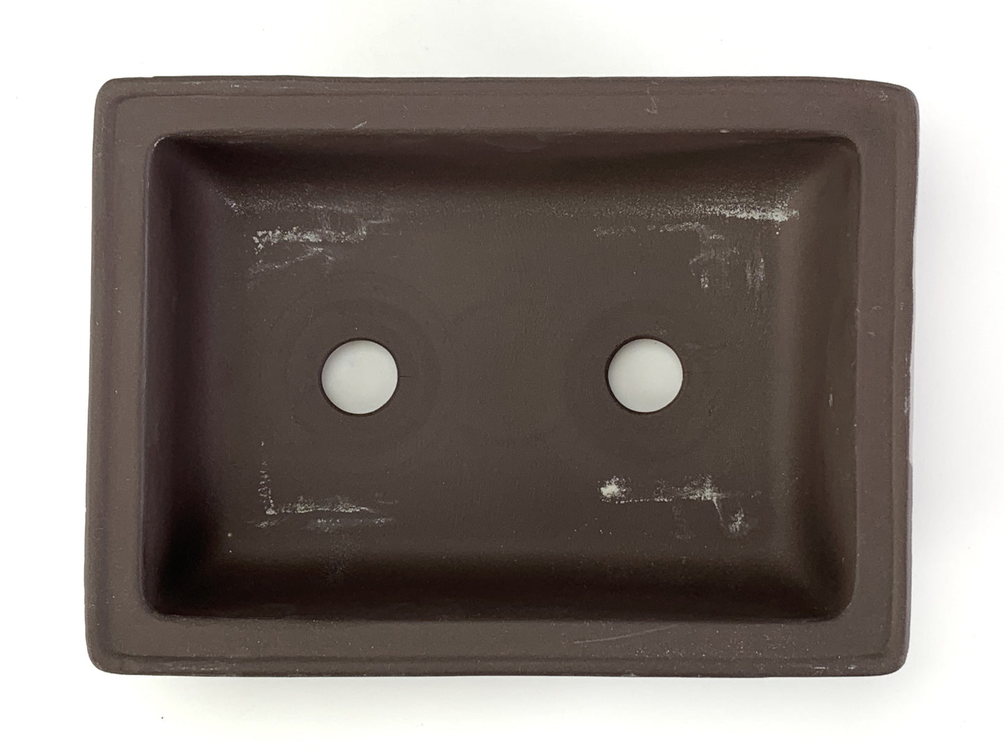 6号鉢(幅18～20cm)