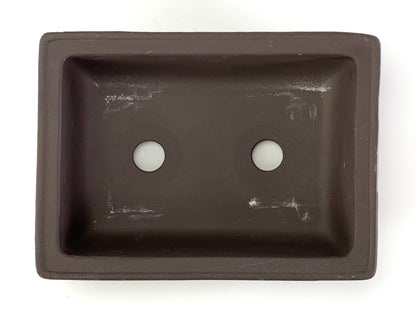 6号鉢(幅18～20cm)