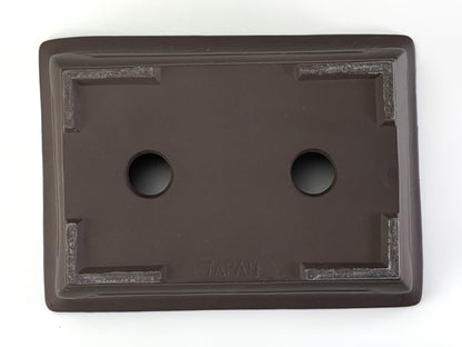 6号鉢(幅18～20cm)