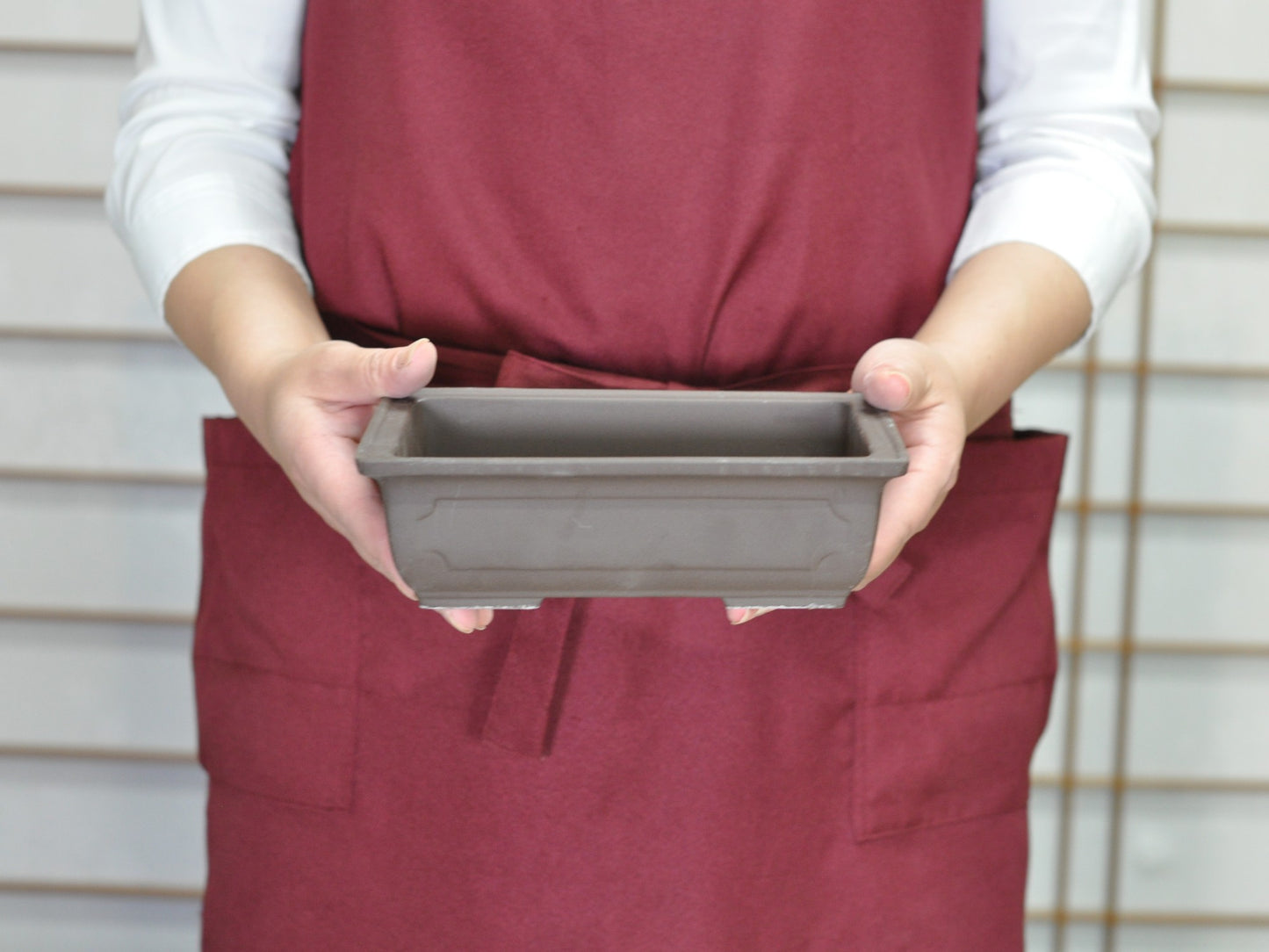 6号鉢(幅18～20cm)