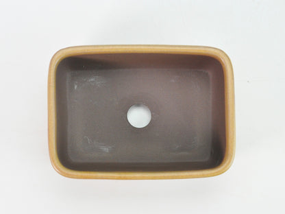 4号鉢(幅11～14cm)