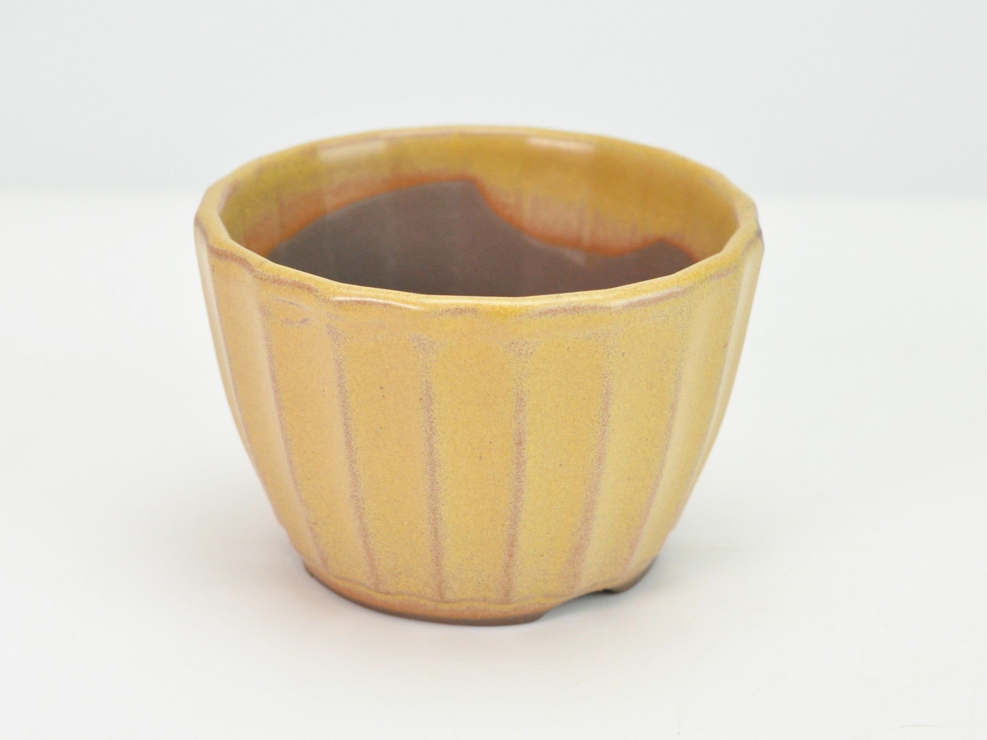 瀬戸焼】 菊型 3号 黄 幅9.8cm×高さ6.5cmの販売｜盆栽妙 – 盆栽妙 本店