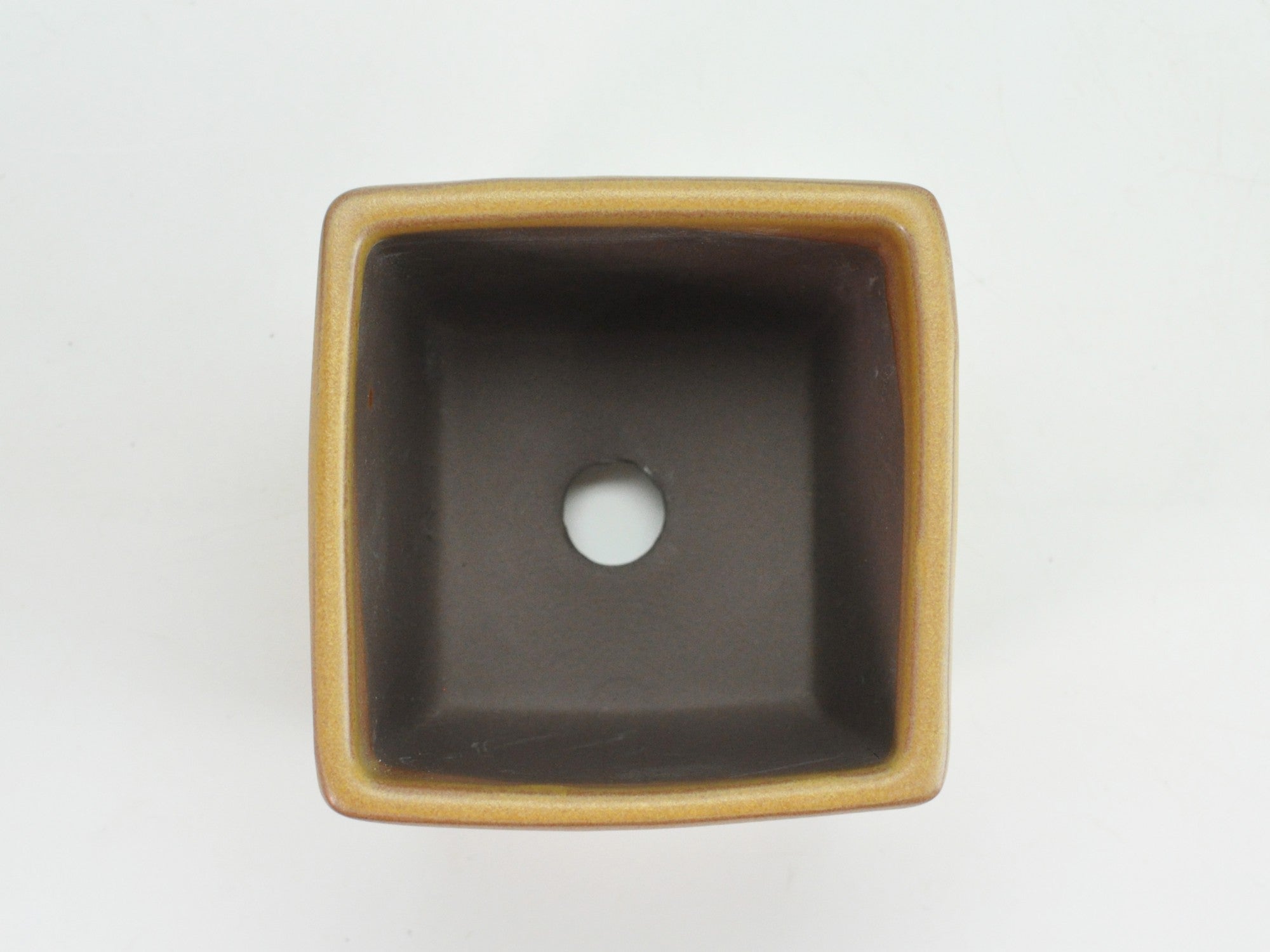 瀬戸焼】 正角 3号 黄 幅8.5cm×高さ8cmの販売｜盆栽妙 – 盆栽妙 本店