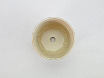 3号鉢(幅8～10cm)