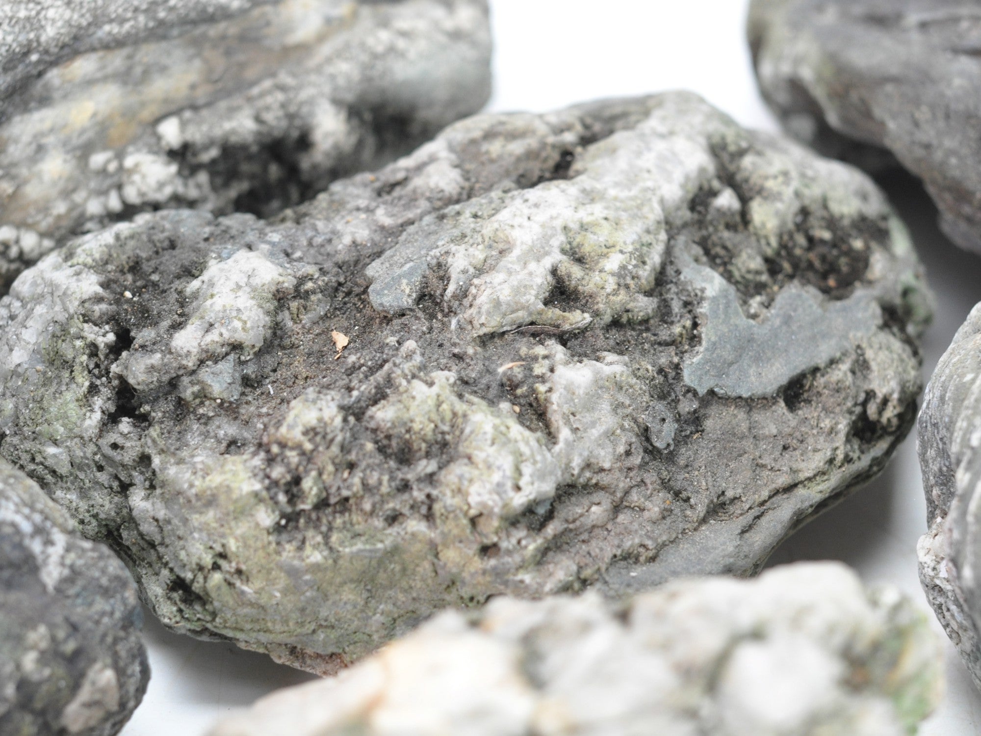 飾り石 伊予の青石(大)3個セットの販売｜盆栽妙 – 盆栽妙 本店