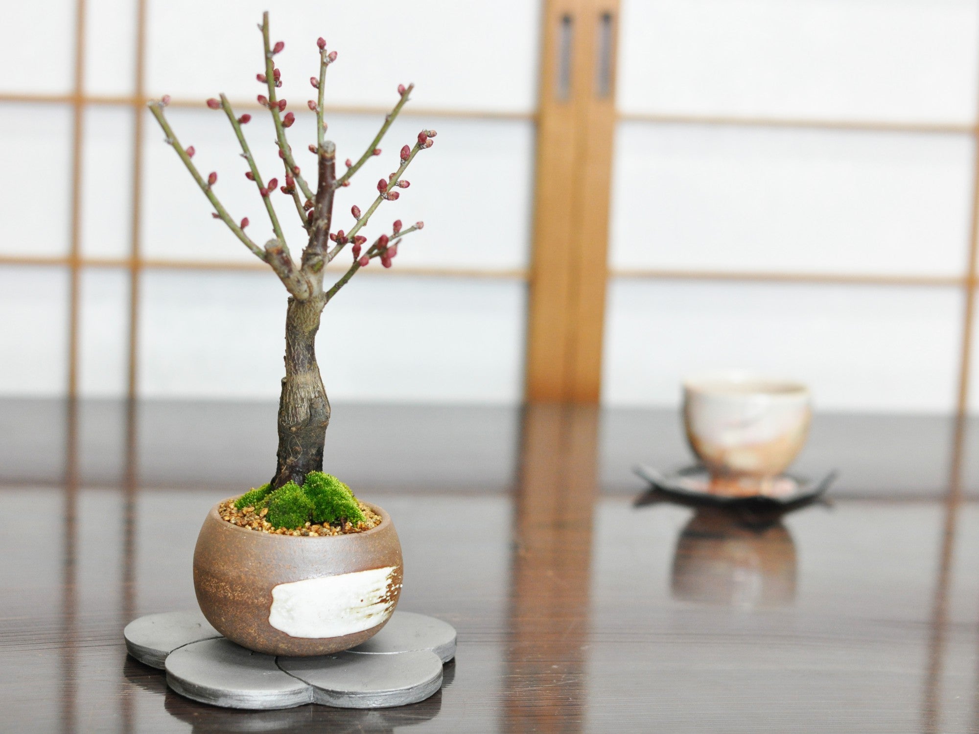 讃岐瓦 花台 梅 中の販売｜盆栽妙 – 盆栽妙 本店