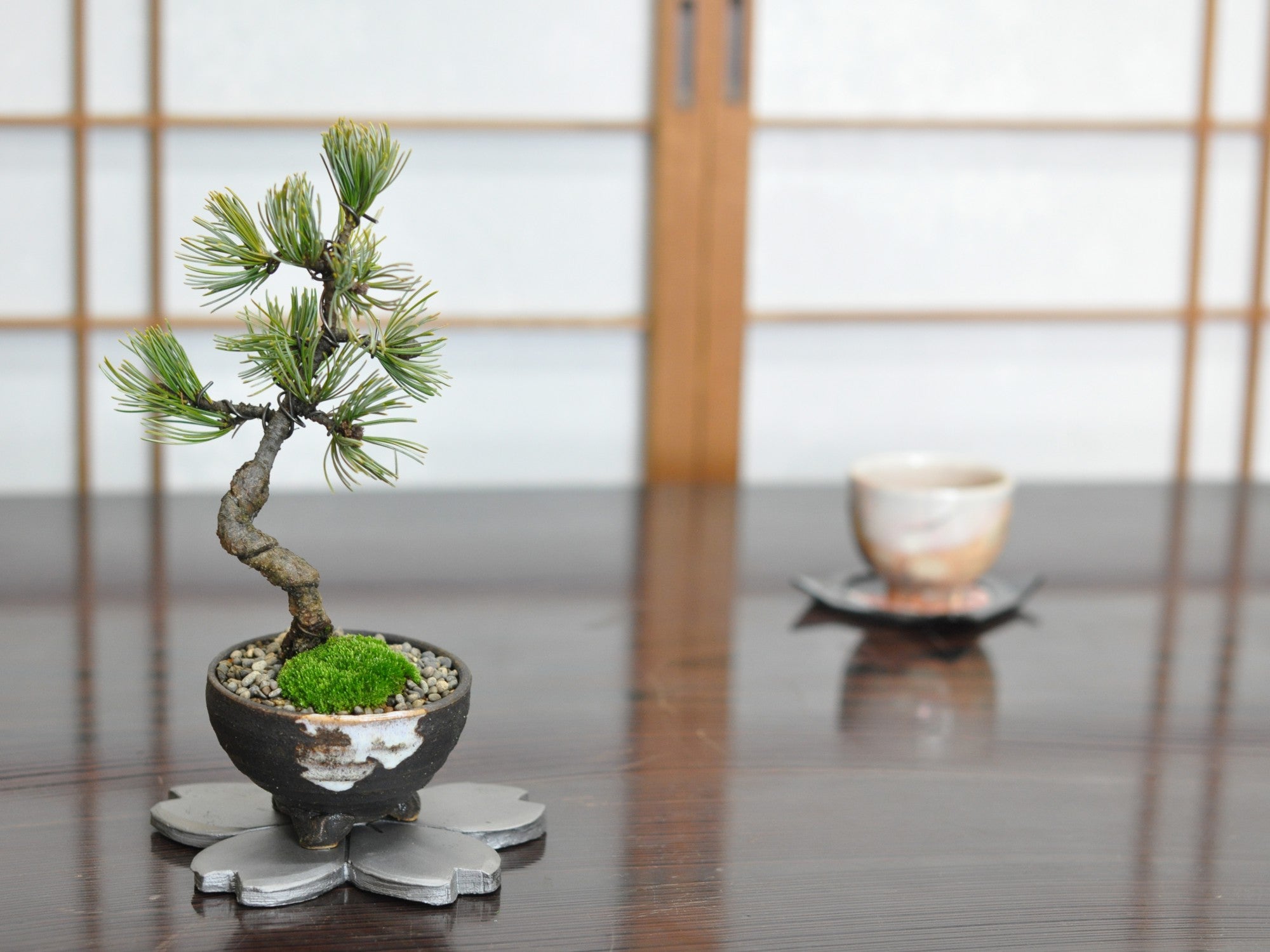 讃岐瓦 花台 桜 丸角 中の販売｜盆栽妙 – 盆栽妙 本店