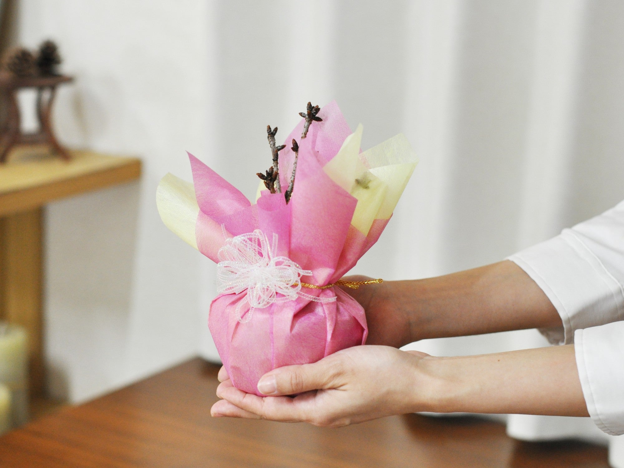 和三盆ゴーフレットとミニ桜 白波和鉢の盆栽の販売｜盆栽妙 – 盆栽妙 本店