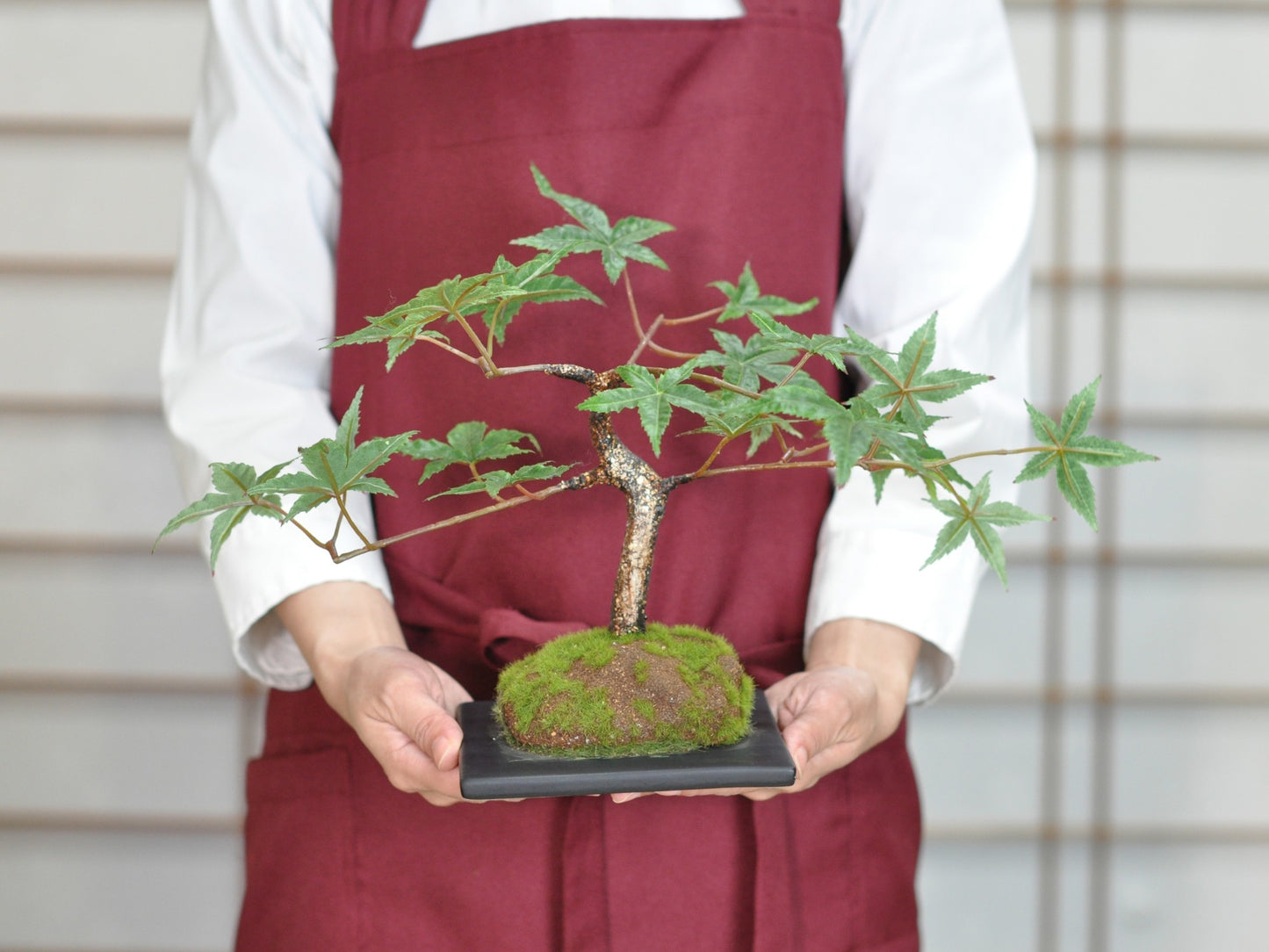 造花盆栽・フェイクグリーン