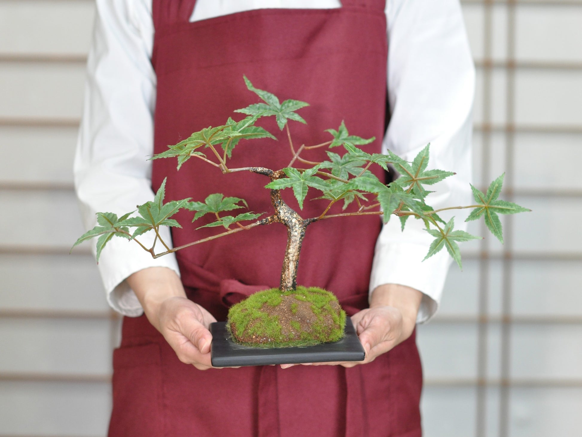 造花盆栽・フェイクグリーン