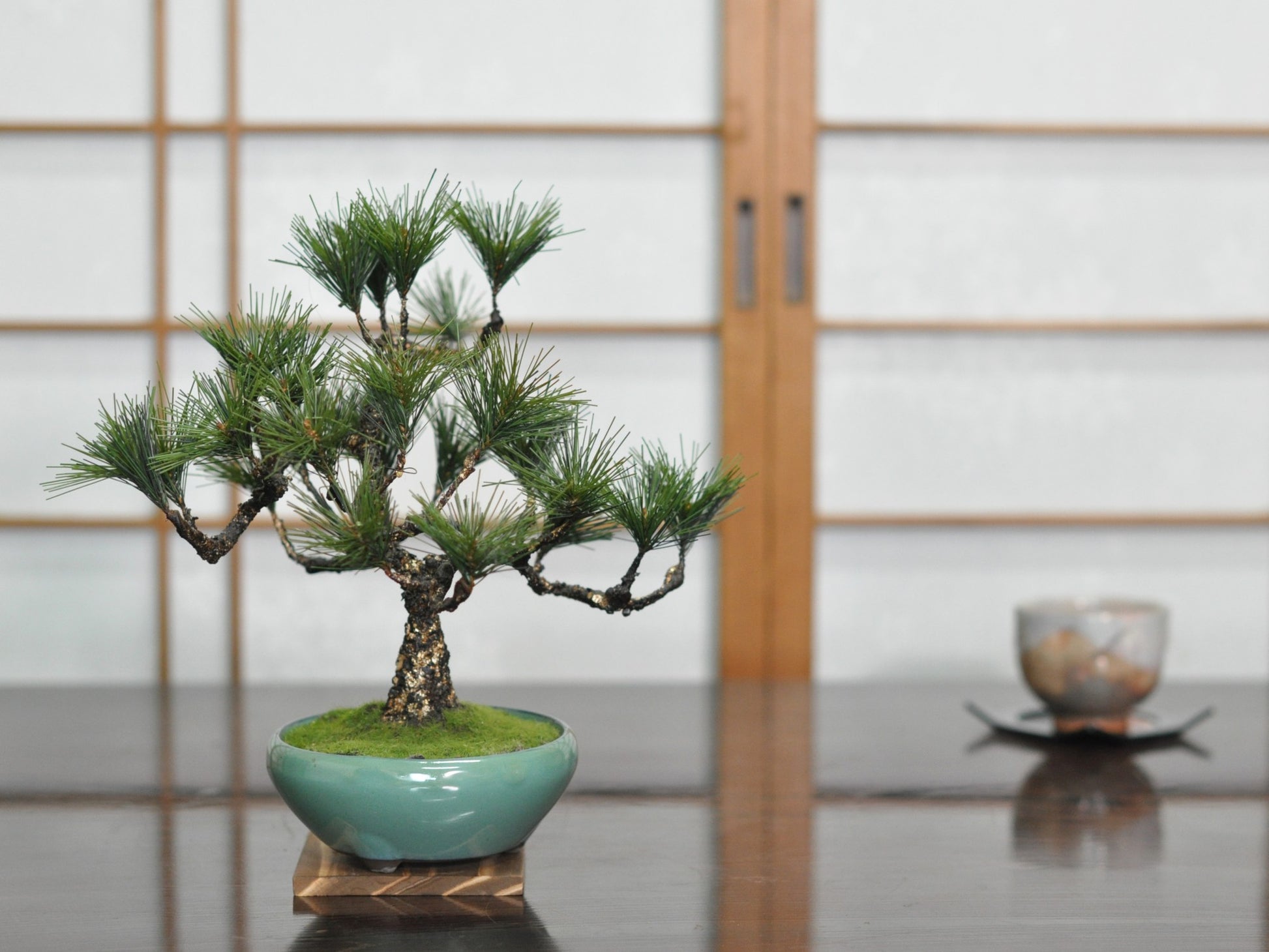 造花盆栽・フェイクグリーン