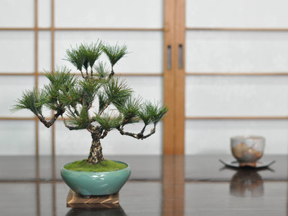 造花盆栽・フェイクグリーン