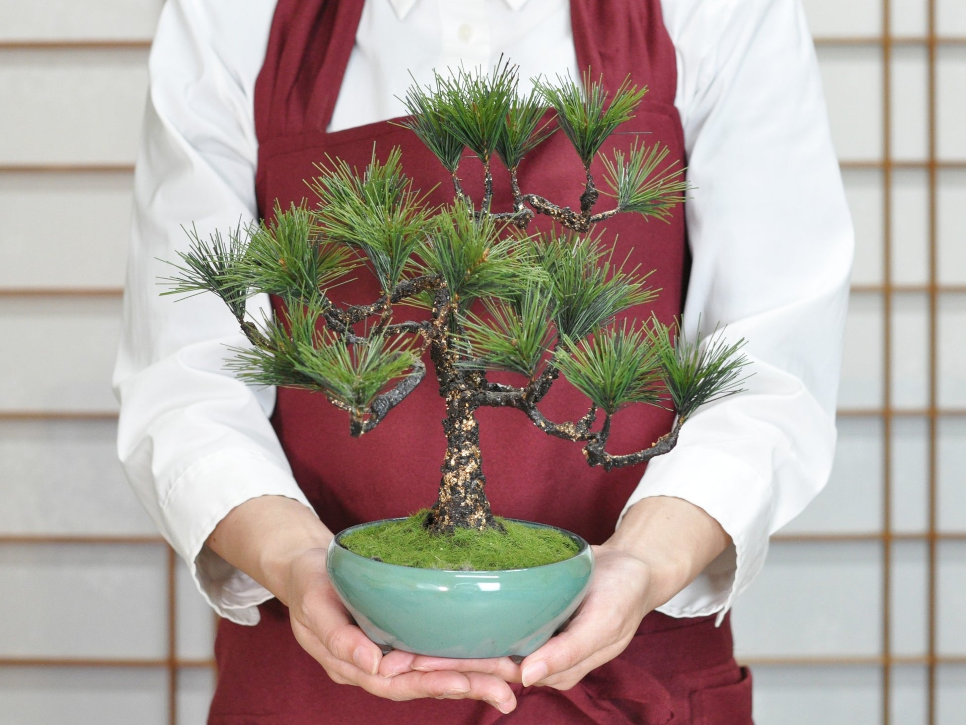 造花盆栽・フェイクグリーン