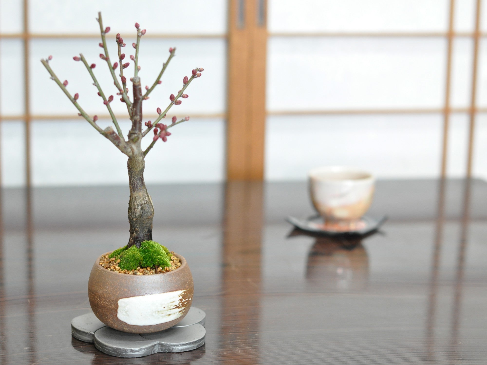 讃岐瓦 花台 梅 小の販売｜盆栽妙 – 盆栽妙 本店