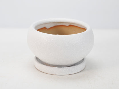 4号鉢(幅11～14cm)