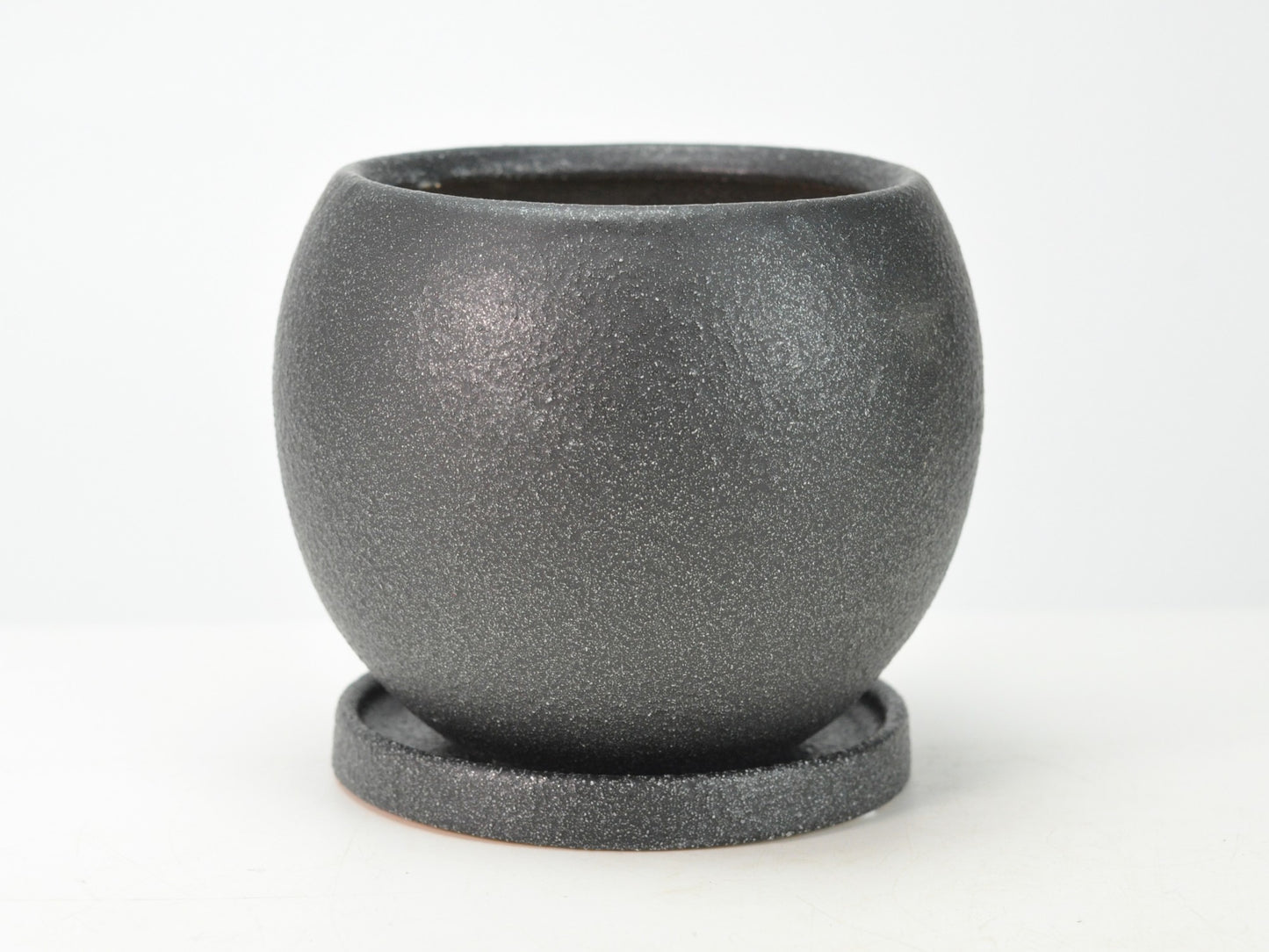 5号鉢(幅14～16cm)