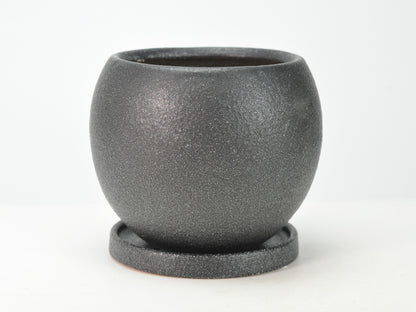 5号鉢(幅14～16cm)