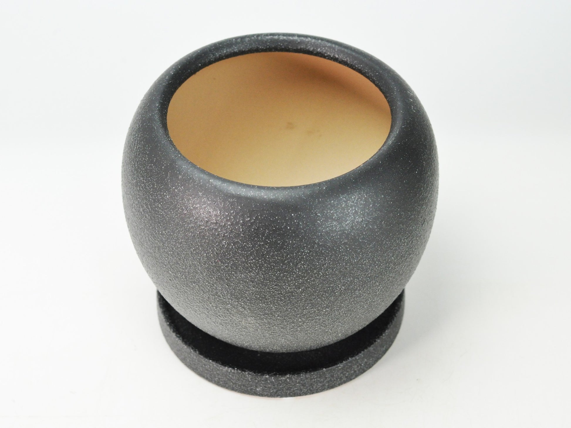 6号鉢(幅18～20cm)