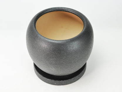 6号鉢(幅18～20cm)