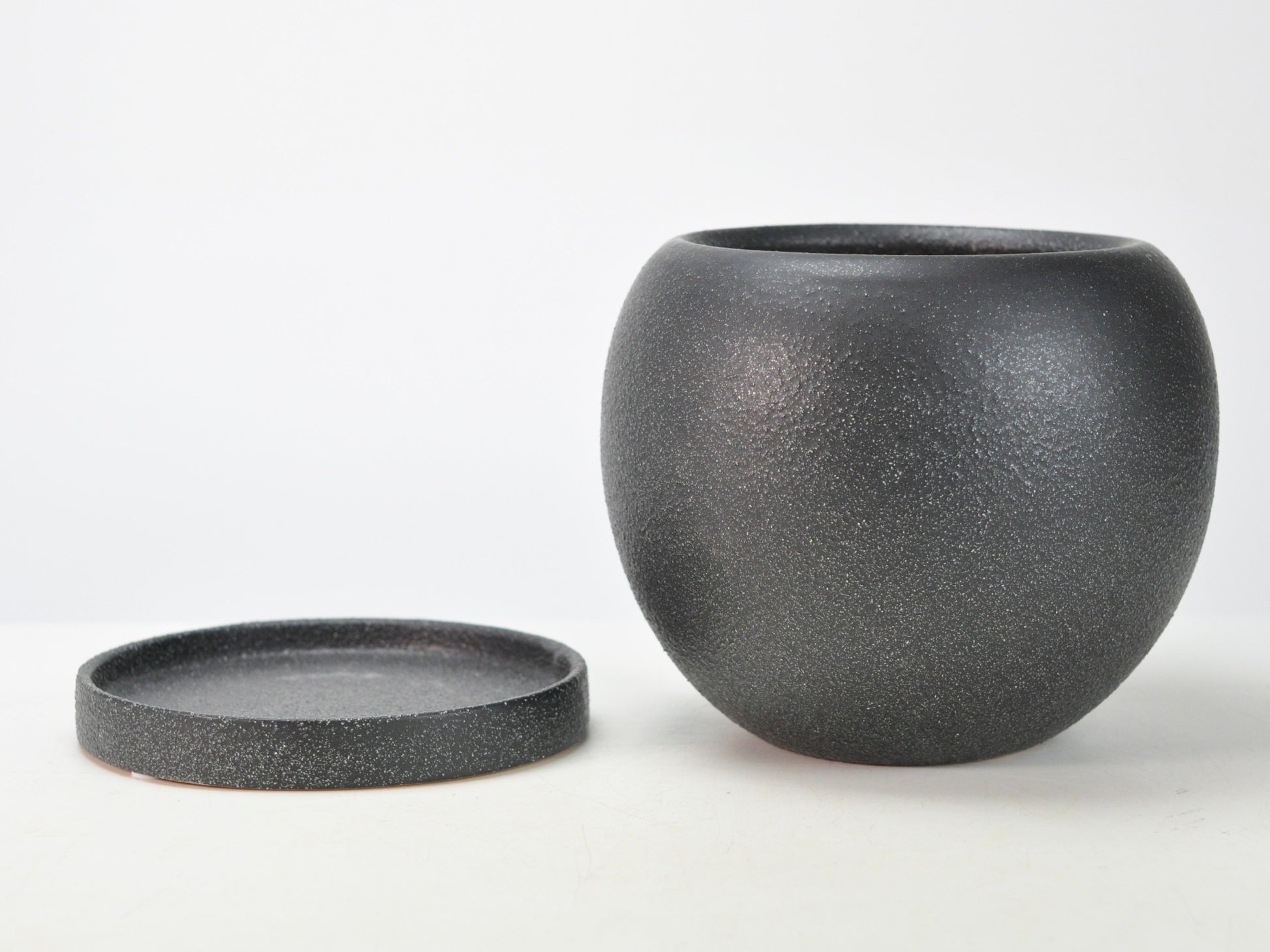 6号鉢(幅18～20cm)