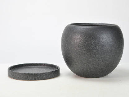 6号鉢(幅18～20cm)
