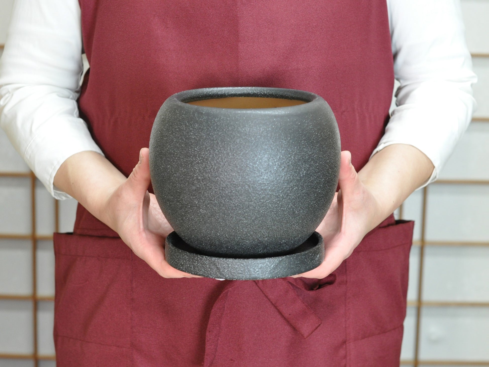 6号鉢(幅18～20cm)