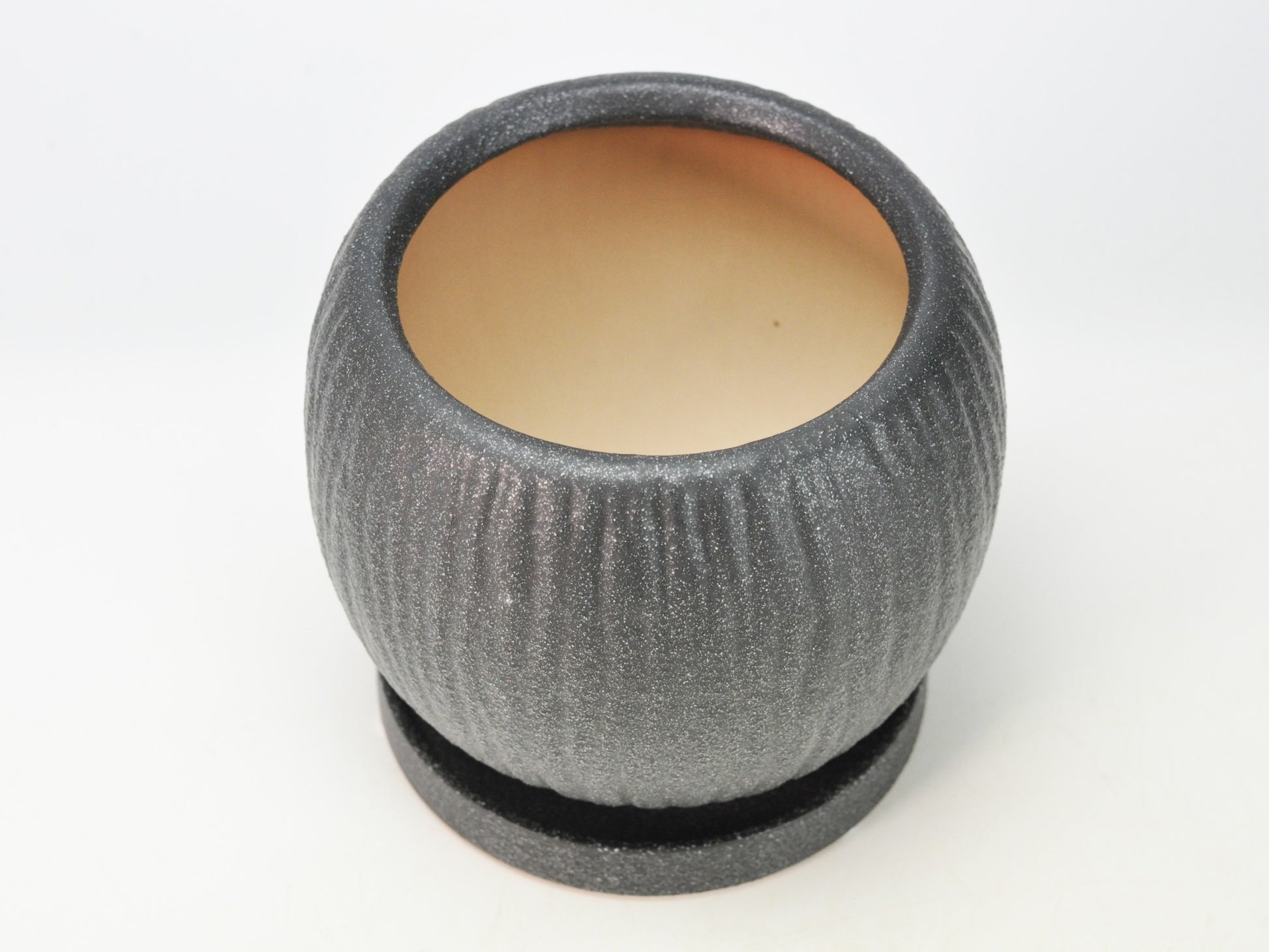6号鉢(幅18～20cm)