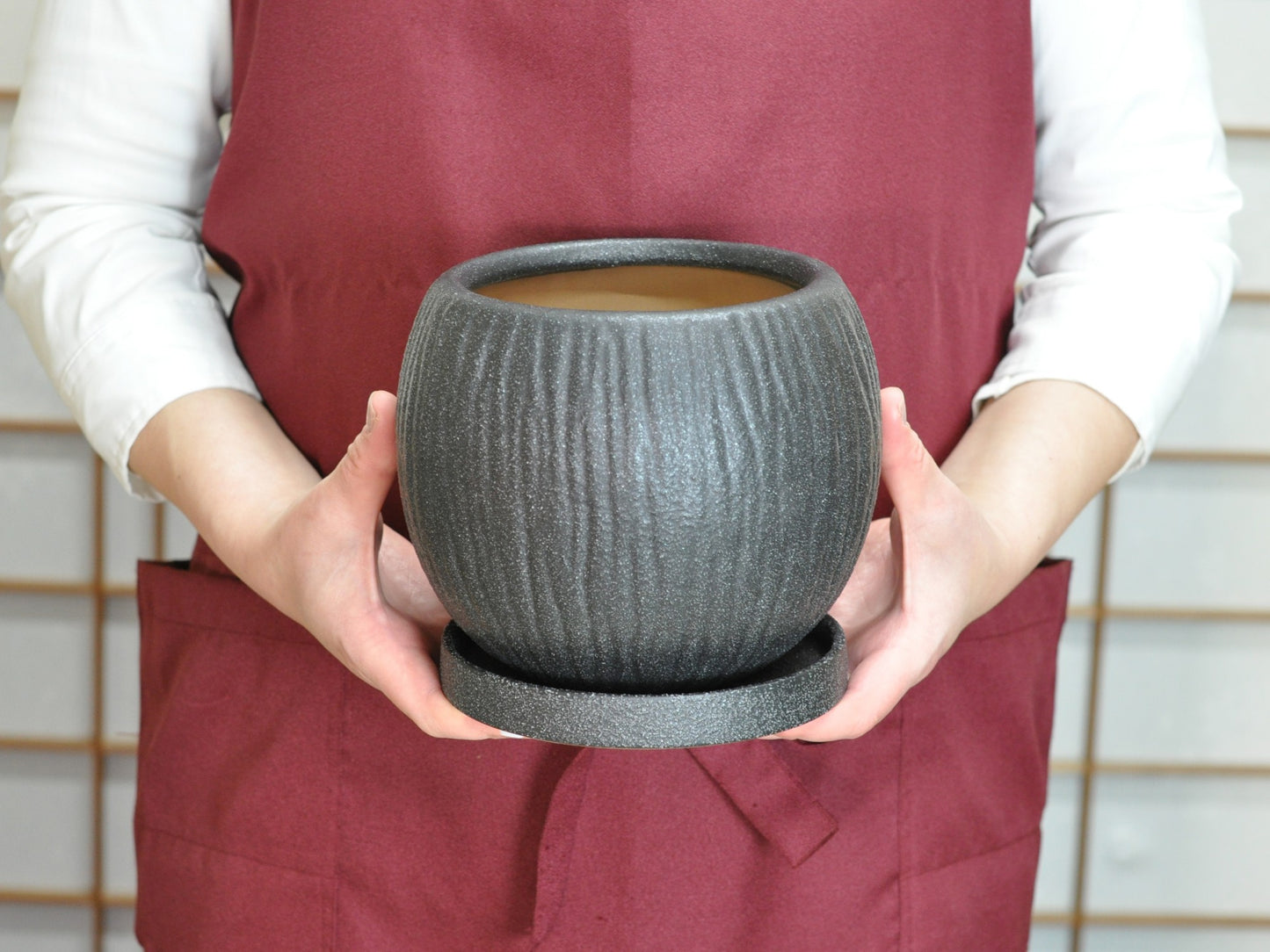 6号鉢(幅18～20cm)
