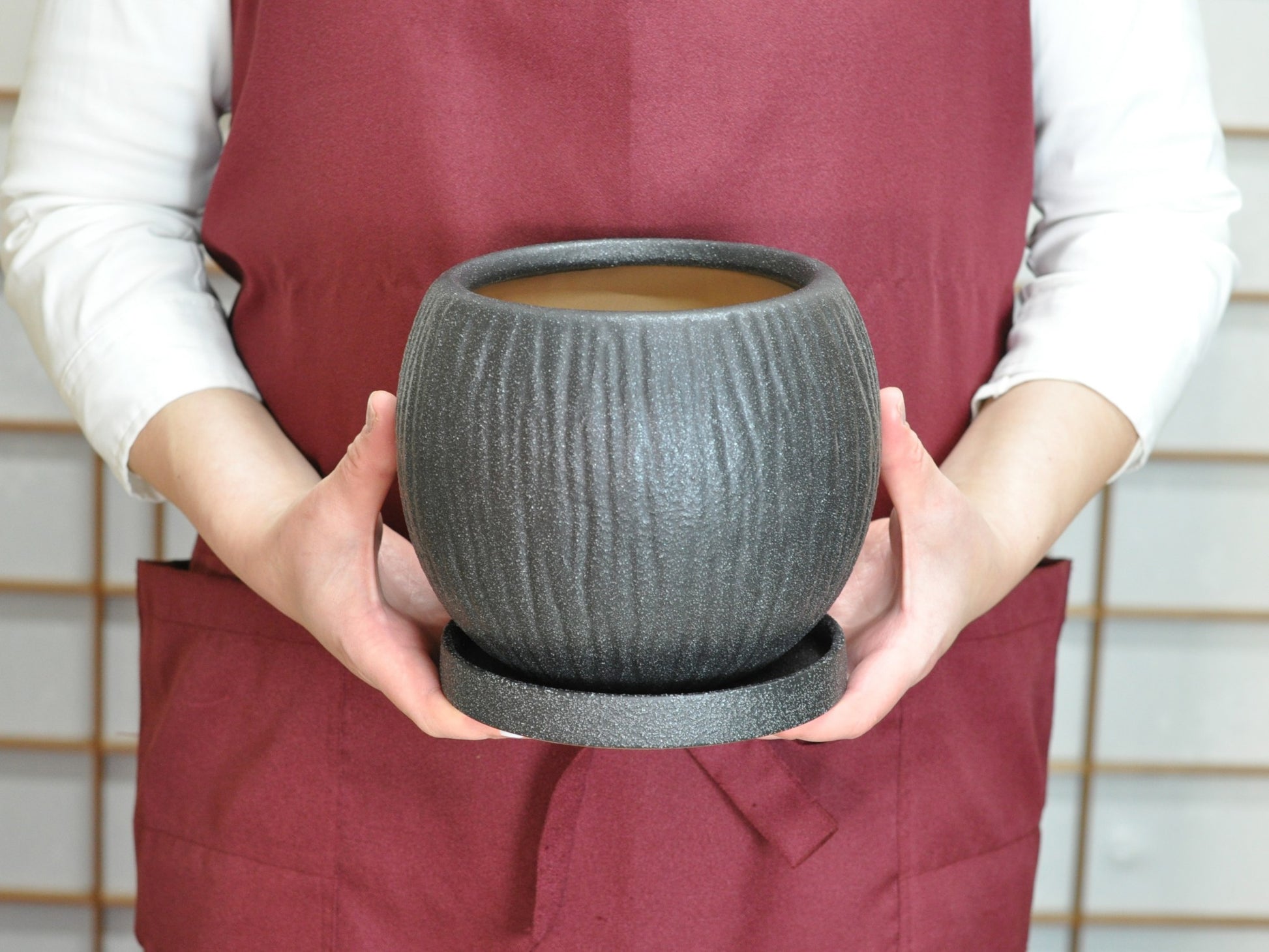 6号鉢(幅18～20cm)