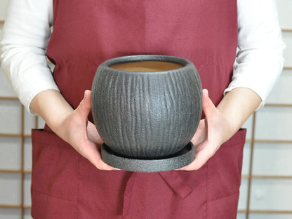 6号鉢(幅18～20cm)