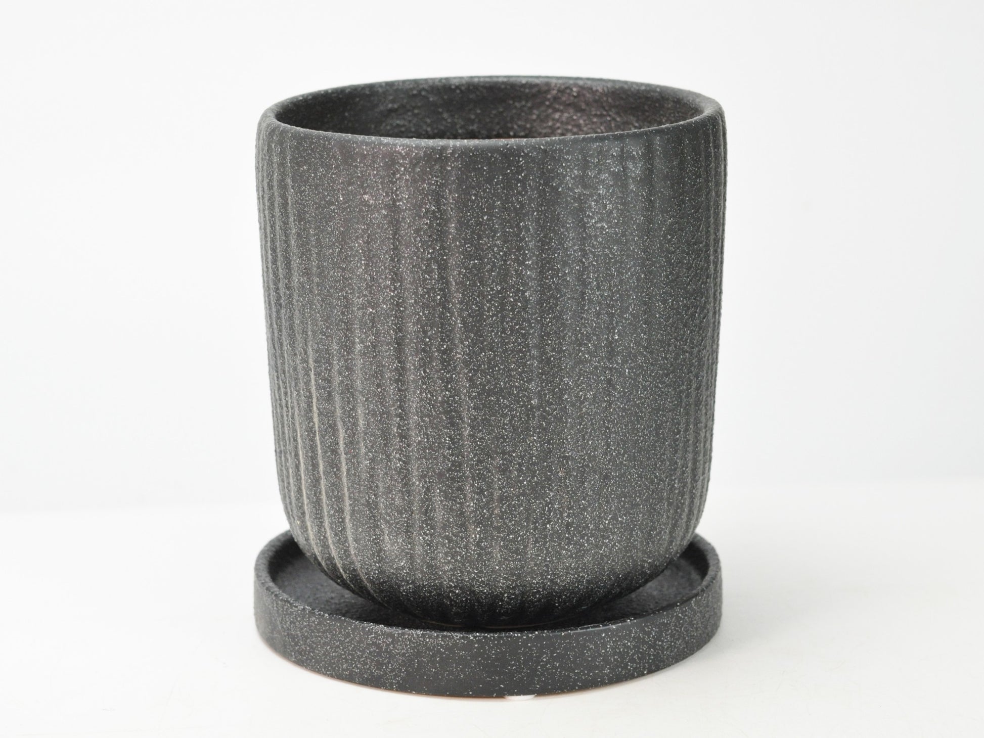 5号鉢(幅14～16cm)